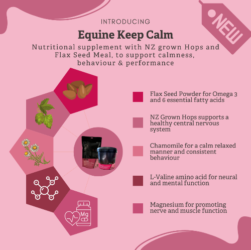 Fourflax (ProVida) Equine Keep Calm