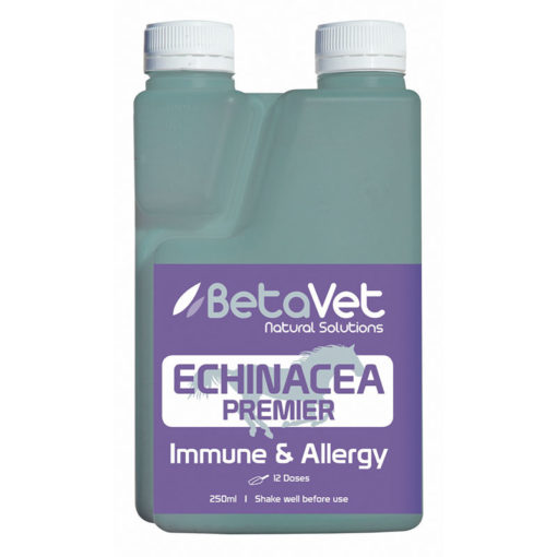 Echinacea Premier