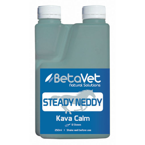 Steady Neddy