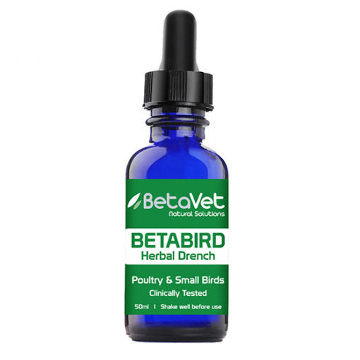 BetaBird